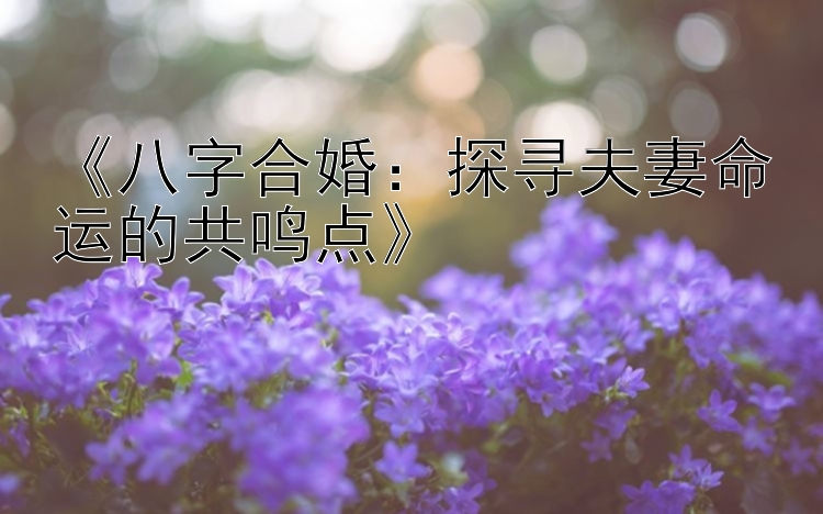 《八字合婚：探寻夫妻命运的共鸣点》