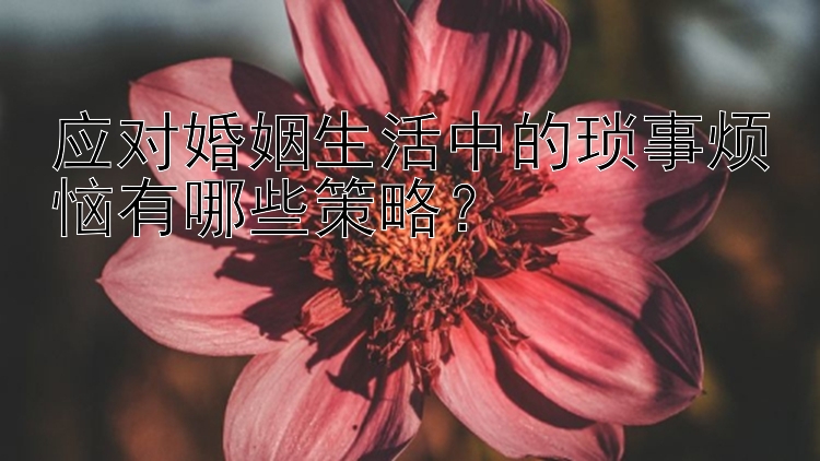 应对婚姻生活中的琐事烦恼有哪些策略？