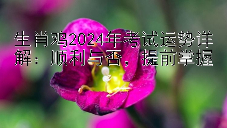 生肖鸡2024年考试运势详解：顺利与否，提前掌握