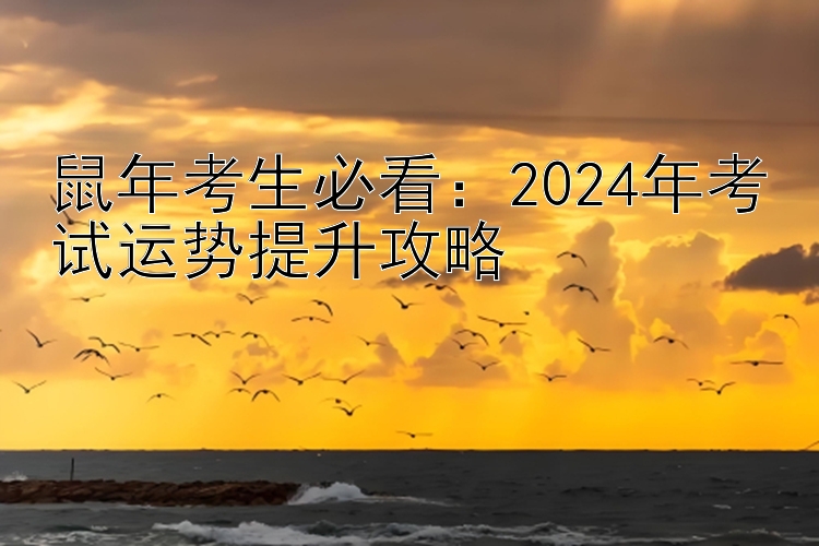 鼠年考生必看：2024年考试运势提升攻略