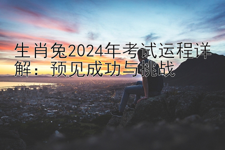 生肖兔2024年考试运程详解：预见成功与挑战