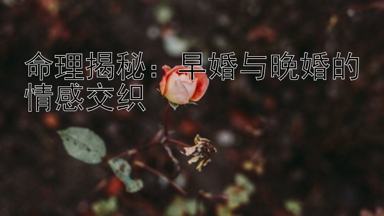 命理揭秘：早婚与晚婚的情感交织