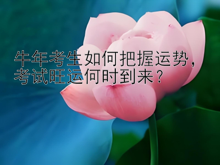 牛年考生如何把握运势，考试旺运何时到来？