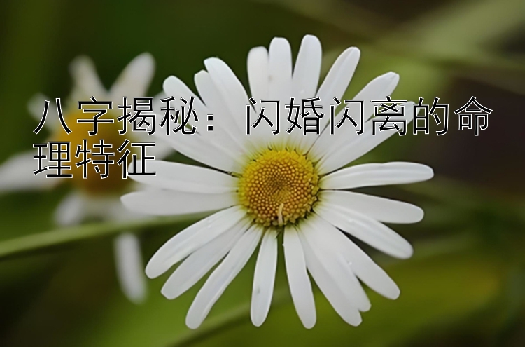 八字揭秘：闪婚闪离的命理特征