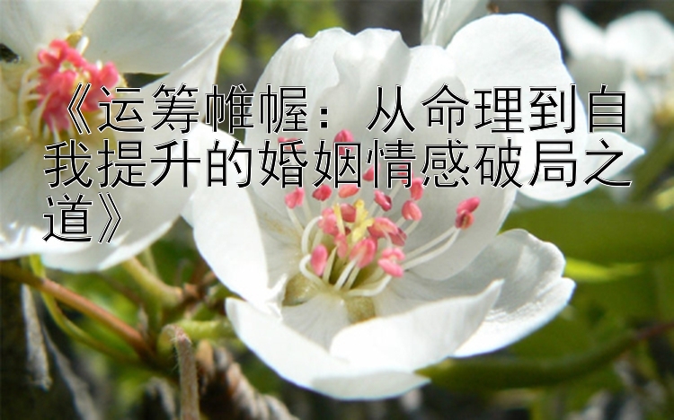 《运筹帷幄：从命理到自我提升的婚姻情感破局之道》