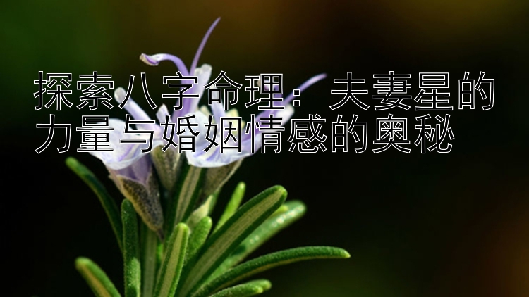 探索八字命理：夫妻星的力量与婚姻情感的奥秘