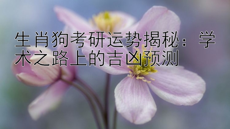 生肖狗考研运势揭秘：学术之路上的吉凶预测