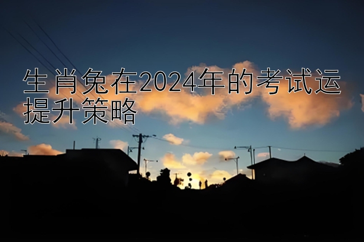 生肖兔在2024年的考试运提升策略