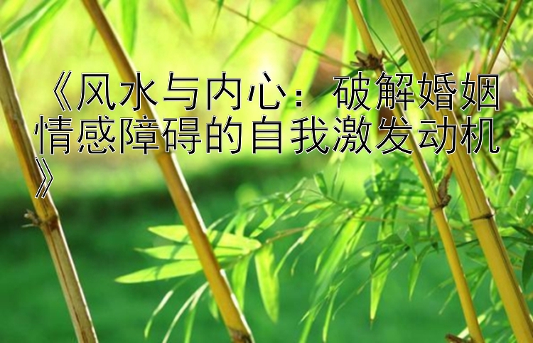 《风水与内心：破解婚姻情感障碍的自我激发动机》