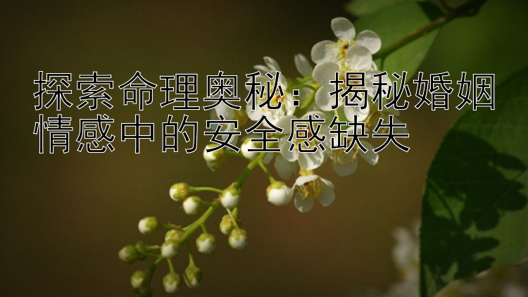 探索命理奥秘：揭秘婚姻情感中的安全感缺失