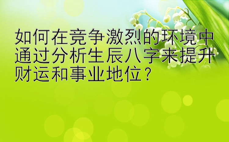 如何在竞争激烈的环境中通过分析生辰八字来提升财运和事业地位？