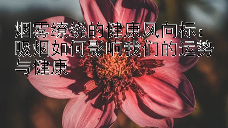 烟雾缭绕的健康风向标：吸烟如何影响我们的运势与健康