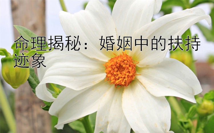 命理揭秘：婚姻中的扶持迹象