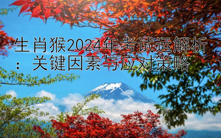 生肖猴2024年考试运解析：关键因素与应对策略