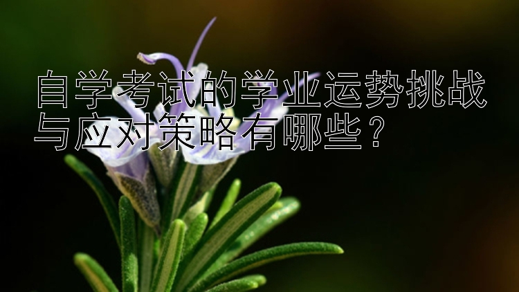 自学考试的学业运势挑战与应对策略有哪些？