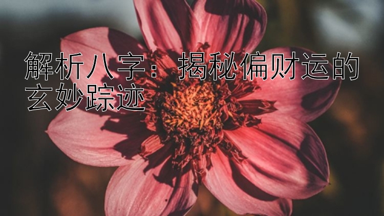 解析八字：揭秘偏财运的玄妙踪迹