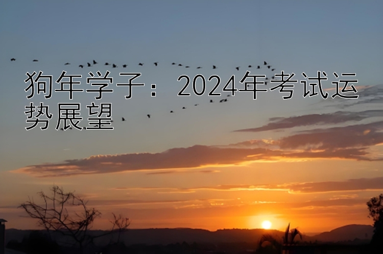 狗年学子：2024年考试运势展望