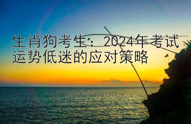 生肖狗考生：2024年考试运势低迷的应对策略