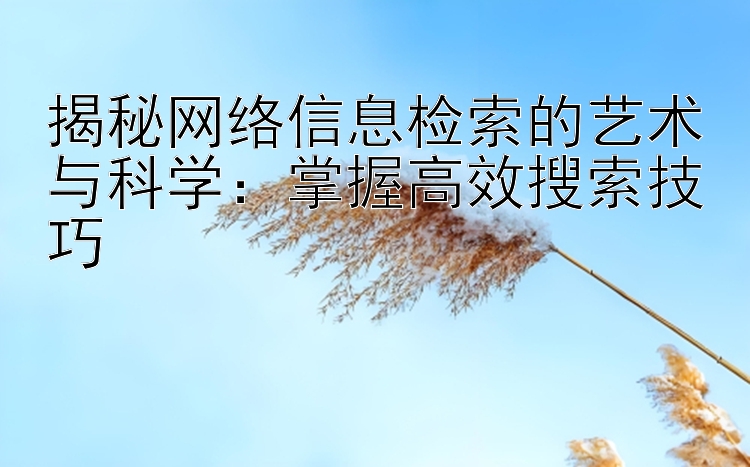 揭秘网络信息检索的艺术与科学：掌握高效搜索技巧