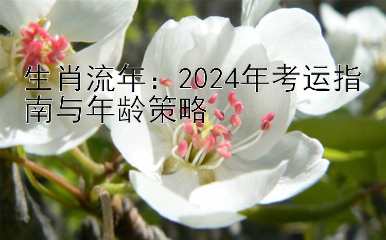 生肖流年：2024年考运指南与年龄策略