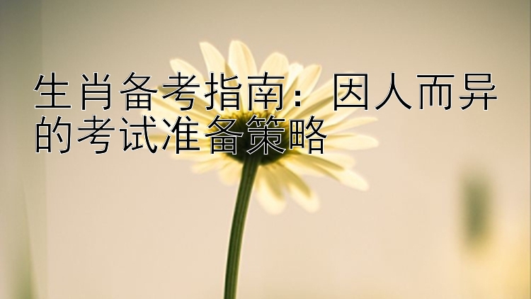 生肖备考指南：因人而异的考试准备策略