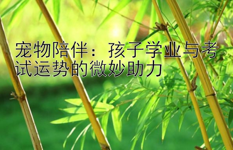 宠物陪伴：孩子学业与考试运势的微妙助力