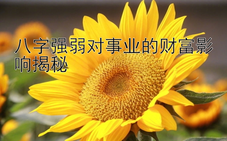 八字强弱对事业的财富影响揭秘