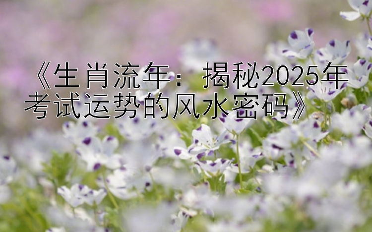 《生肖流年：揭秘2025年考试运势的风水密码》