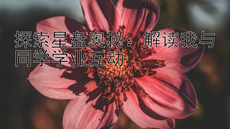 探索星盘奥秘：解读我与同学学业互动