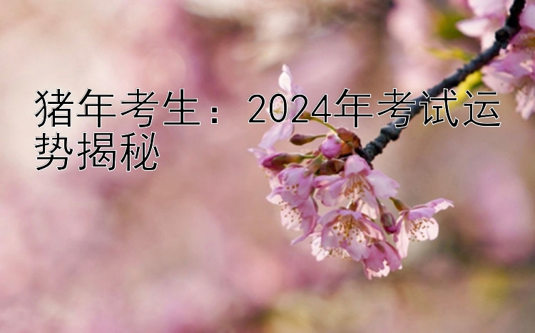 猪年考生：2024年考试运势揭秘