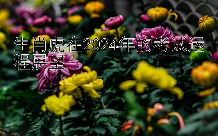 生肖虎在2024年的考试运程展望