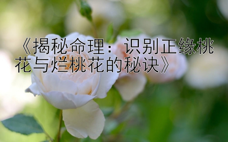 《揭秘命理：识别正缘桃花与烂桃花的秘诀》