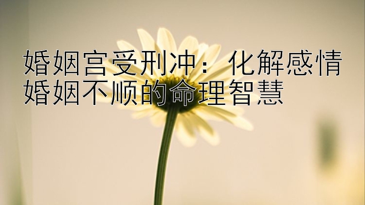 婚姻宫受刑冲：化解感情婚姻不顺的命理智慧