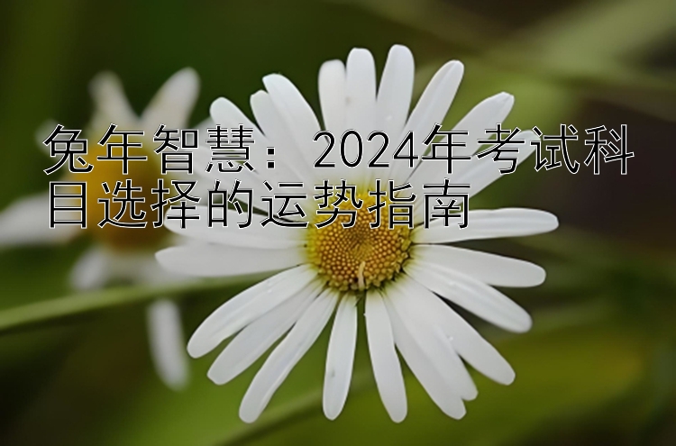 兔年智慧：2024年考试科目选择的运势指南