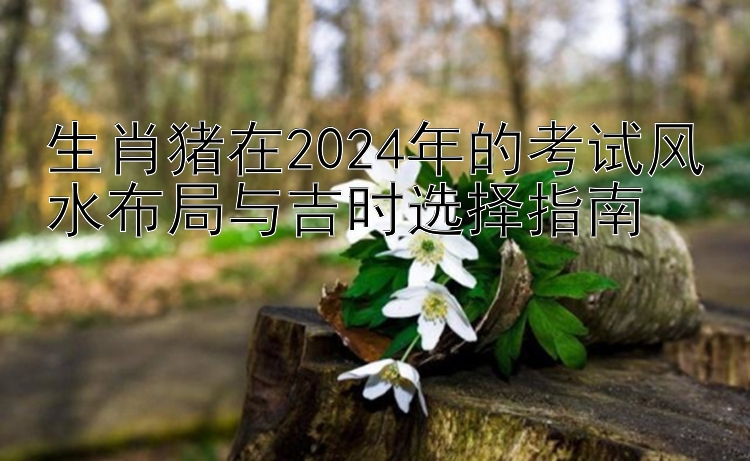 生肖猪在2024年的考试风水布局与吉时选择指南