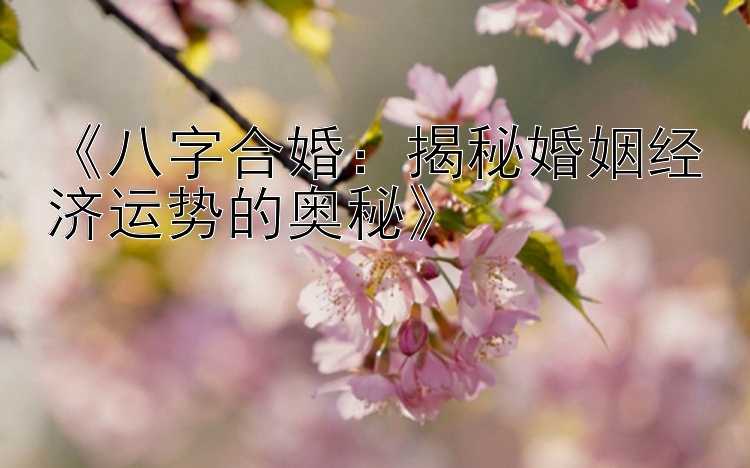 《八字合婚：揭秘婚姻经济运势的奥秘》