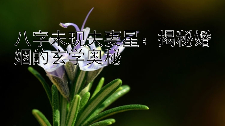 八字未现夫妻星：揭秘婚姻的玄学奥秘