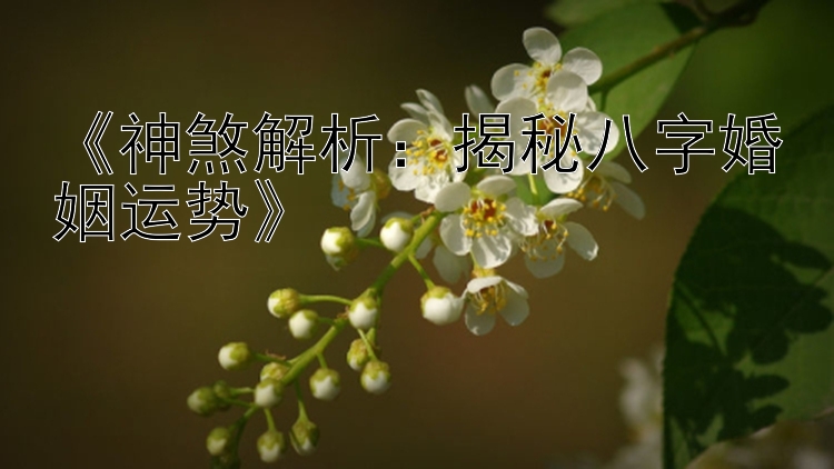 《神煞解析：揭秘八字婚姻运势》