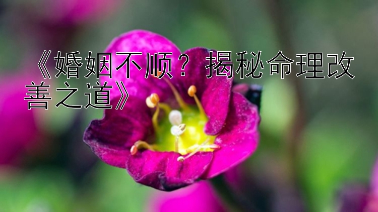 《婚姻不顺？揭秘命理改善之道》