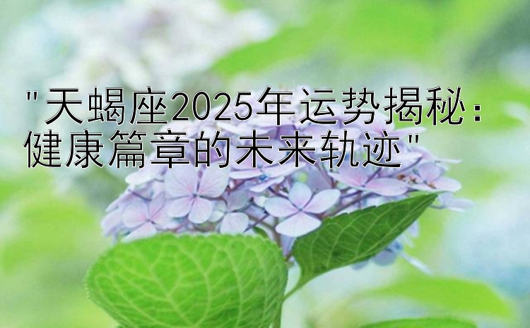 天蝎座2025年运势揭秘：健康篇章的未来轨迹