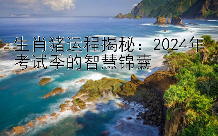 生肖猪运程揭秘：2024年考试季的智慧锦囊