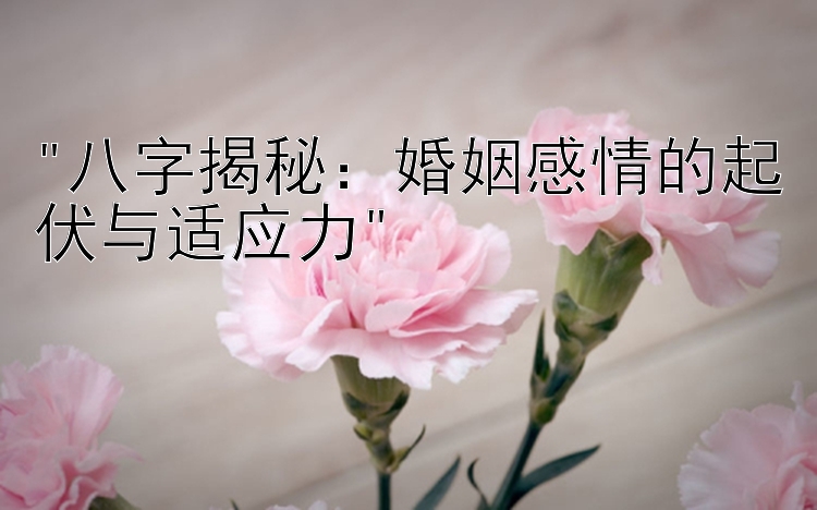 八字揭秘：婚姻感情的起伏与适应力