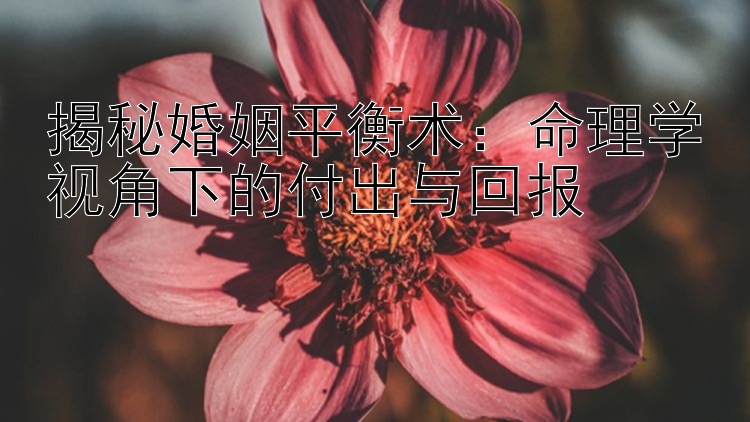 揭秘婚姻平衡术：命理学视角下的付出与回报