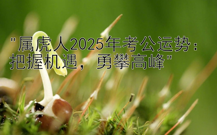 属虎人2025年考公运势：把握机遇，勇攀高峰