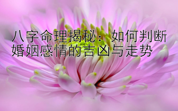 八字命理揭秘：如何判断婚姻感情的吉凶与走势