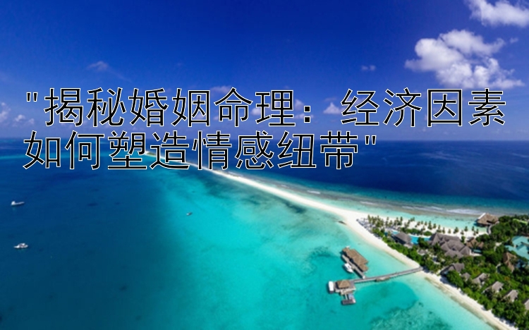 揭秘婚姻命理：经济因素如何塑造情感纽带