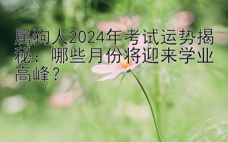 属狗人2024年考试运势揭秘：哪些月份将迎来学业高峰？