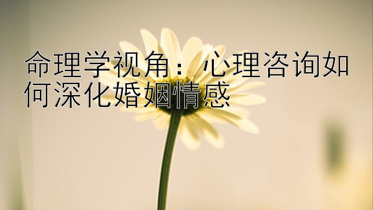 命理学视角：心理咨询如何深化婚姻情感