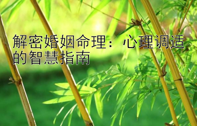 解密婚姻命理：心理调适的智慧指南