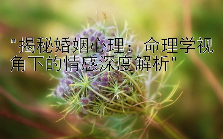 揭秘婚姻心理：命理学视角下的情感深度解析